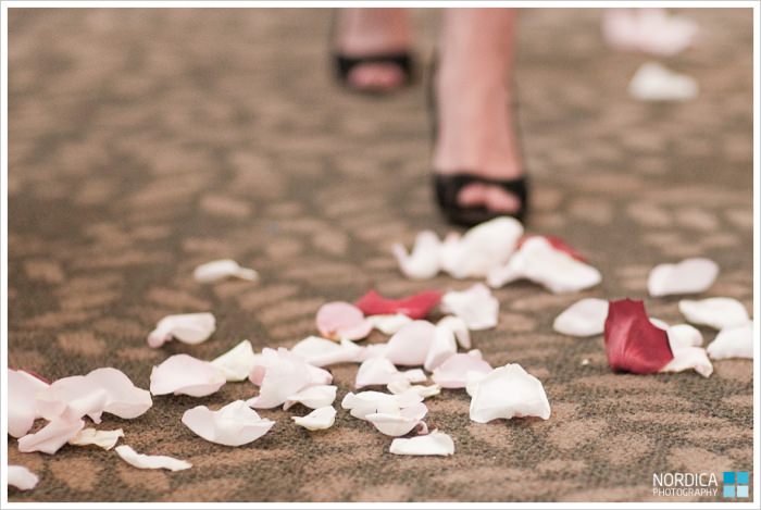 Vancouver Wedding Photographer | A Stanley Park Wedding