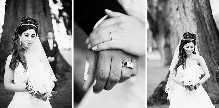 Stanley Park Wedding // Shiva & Ali 