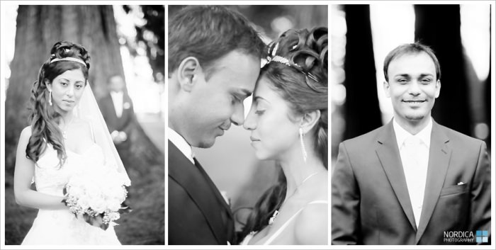 Vancouver Wedding Photographer | A Stanley Park Wedding