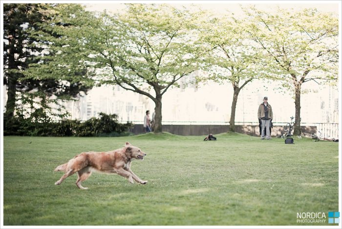 Vancouver Engagement Photography | Karran & Andrew