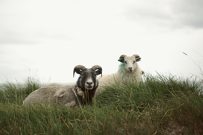 Iceland Wedding Photography // Annika & Doug photo Iceland Wedding Photography // Annika & Doug