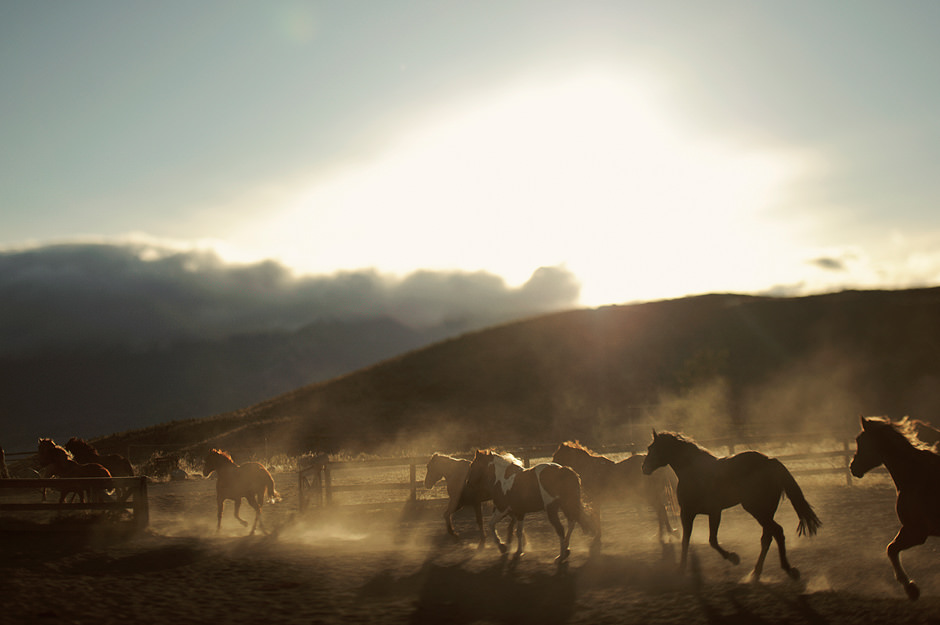 Nordica Photography