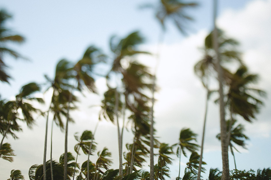 Dominican Republic Wedding Dominican Republic Wedding