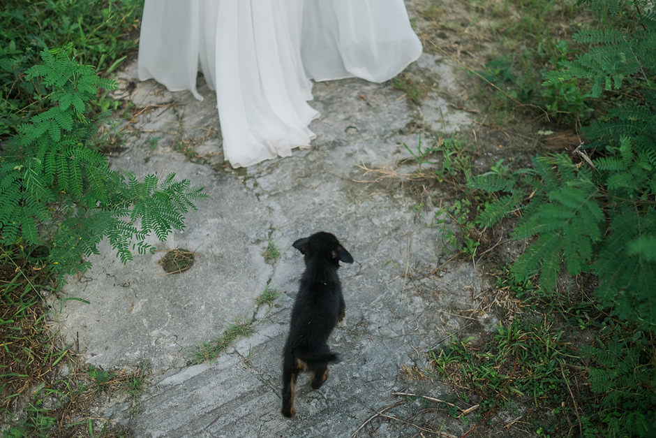 wedding in paradise