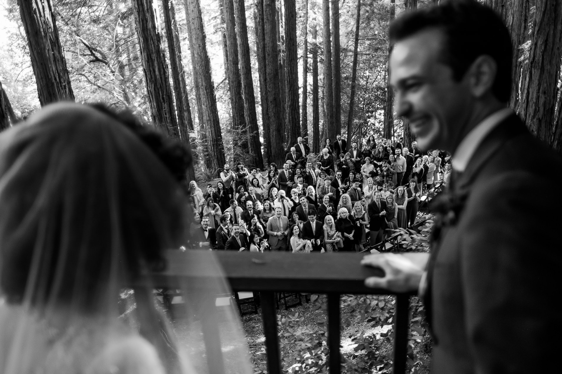 sequoia wedding photos