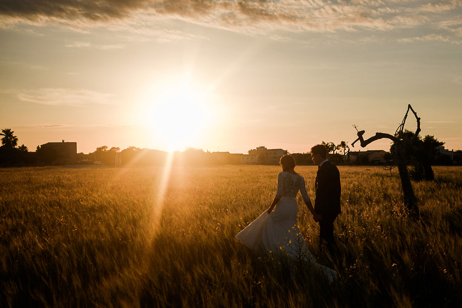 Bride and groom in a field at sunset, Mallorca wedding photographer