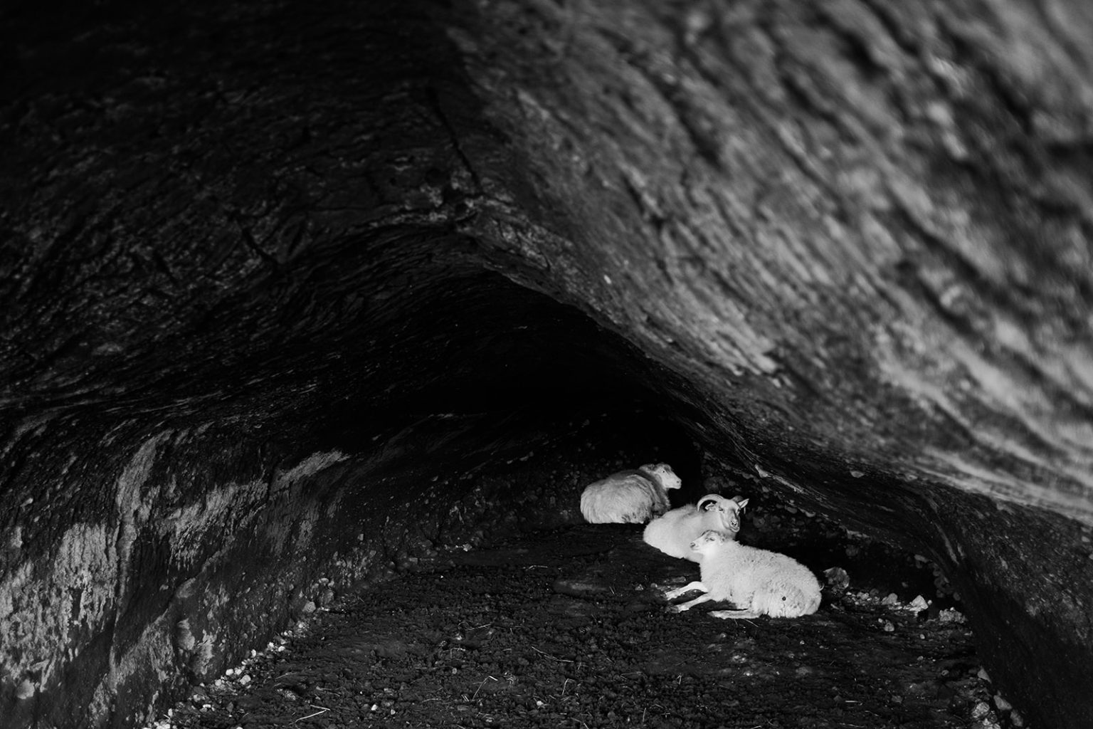 A black and white Icelandic landscape
