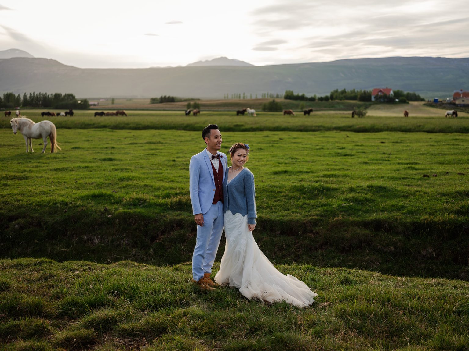 Bride and groom with Icelandic horses at sunset