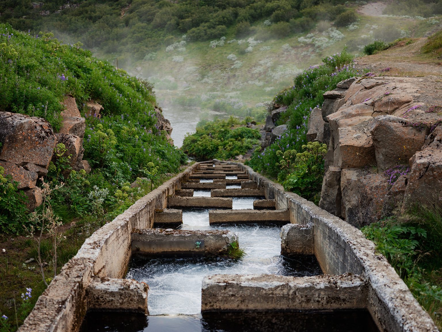 Stepping stones across an Icelandic river
