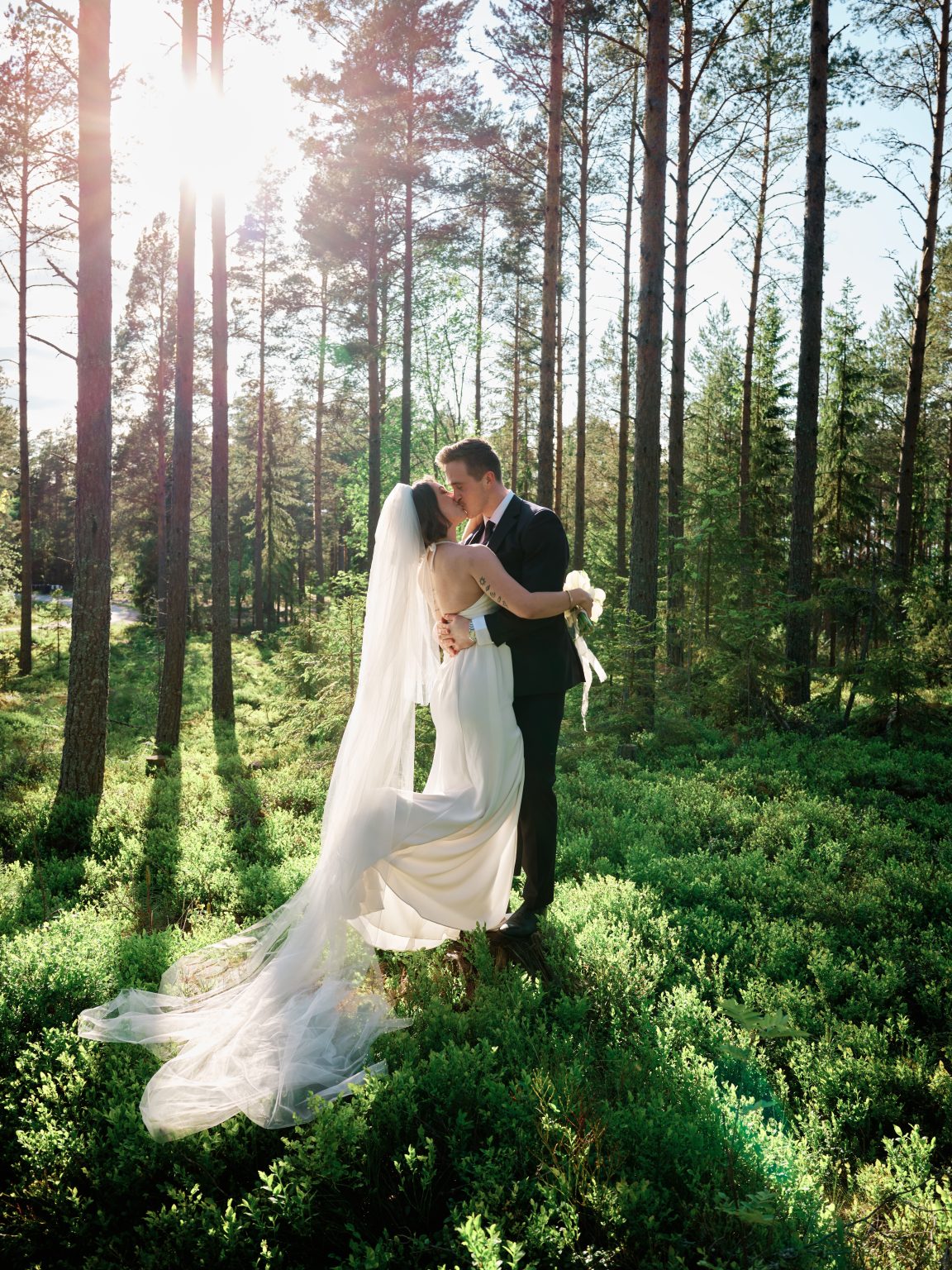 A kiss in the tall pines with long evening shadows, cabin elopement in Sweden