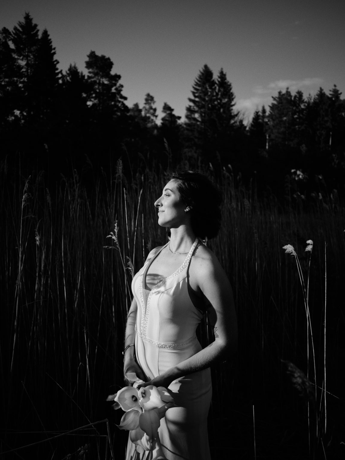 Sara in the reeds at night, black and white