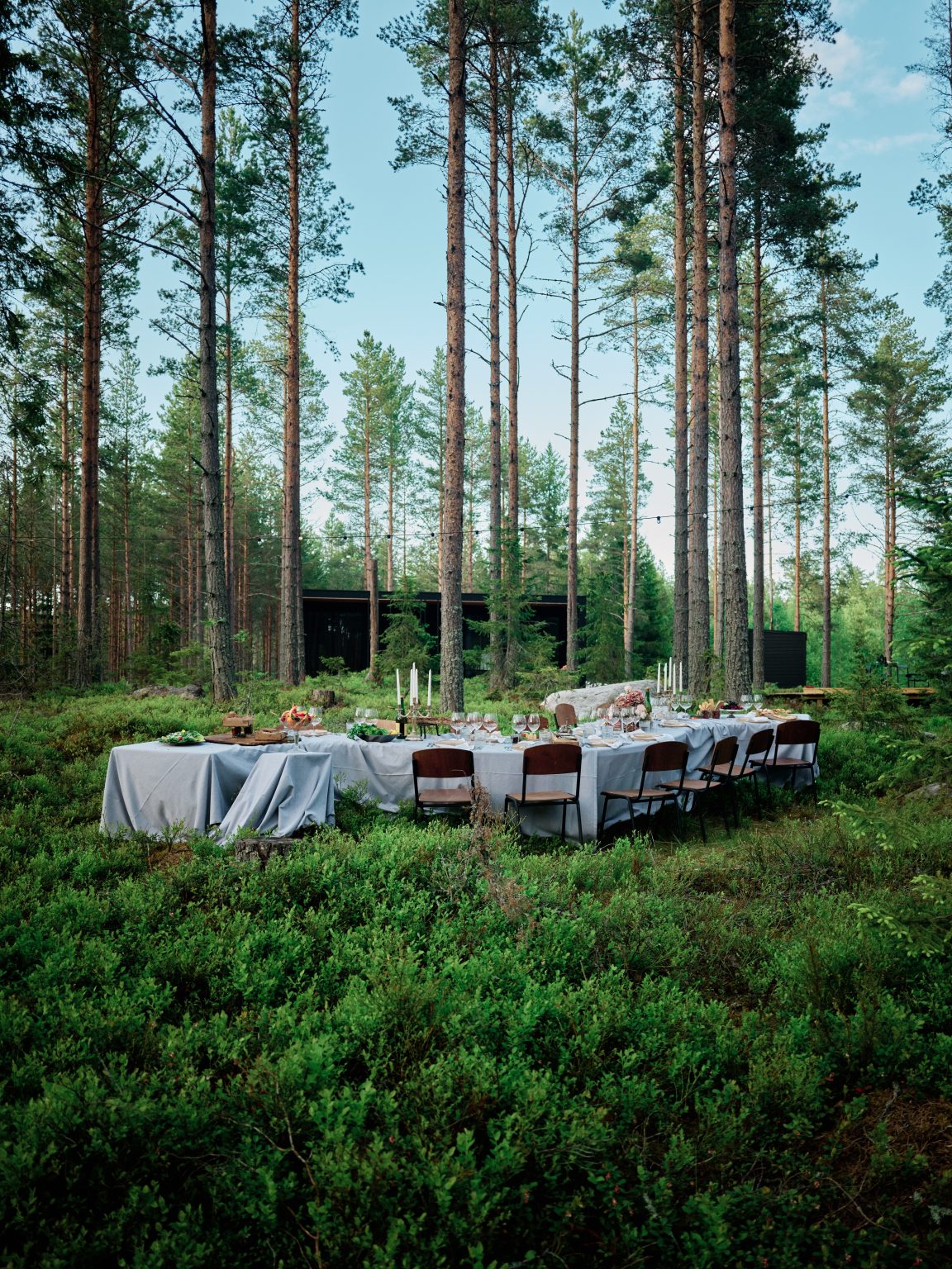 The long table running through the pines at a Swedish cabin wedding