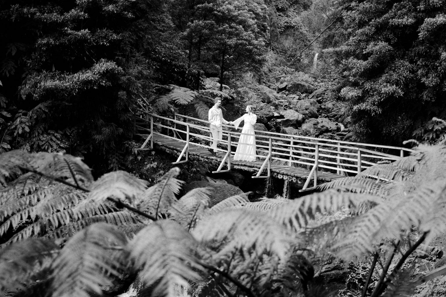 Crossing a footbridge through the ferns on São Miguel, Azores