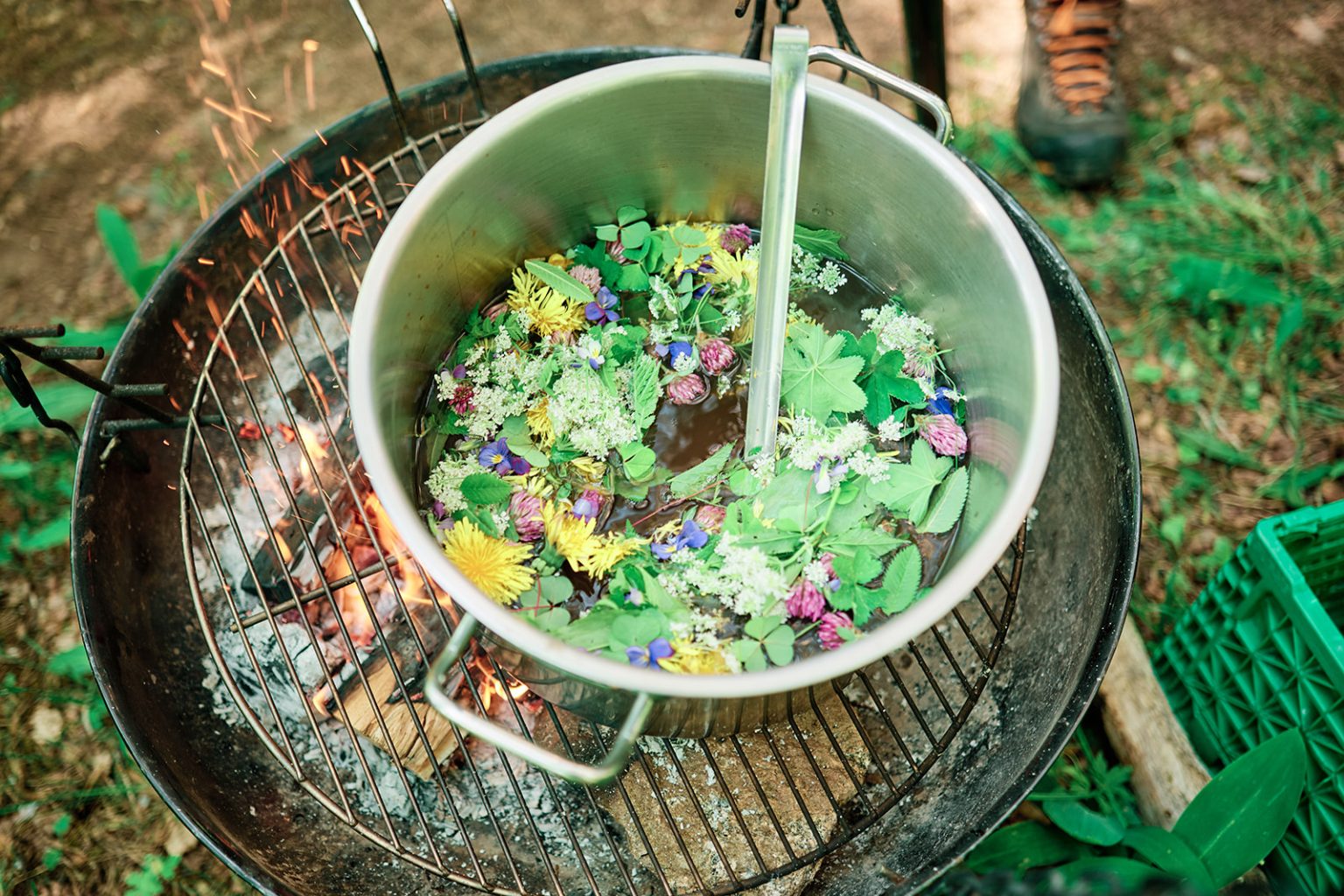 Brewing tea over a fire in the woods before the wedding