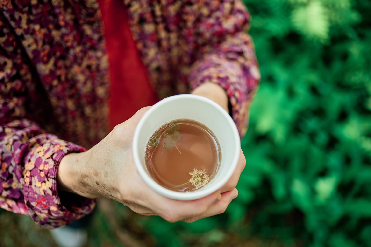 A cup of tea brewed from foraged flowers