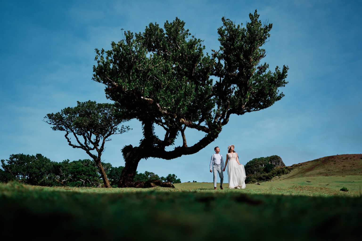 Couple beneath a laurel tree in Fanal Forest, Madeira engagement session