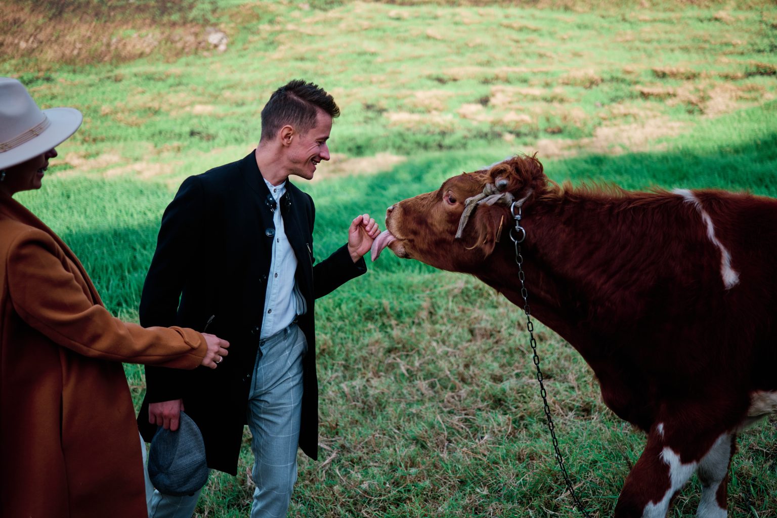 Couple meeting a cow in the high pastures at Boa Morte, Madeira engagement photographer