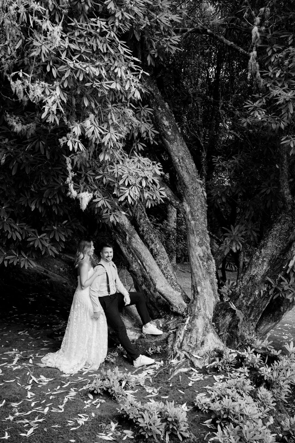 Bride among ancient laurel trees in black and white, Queimadas, Madeira