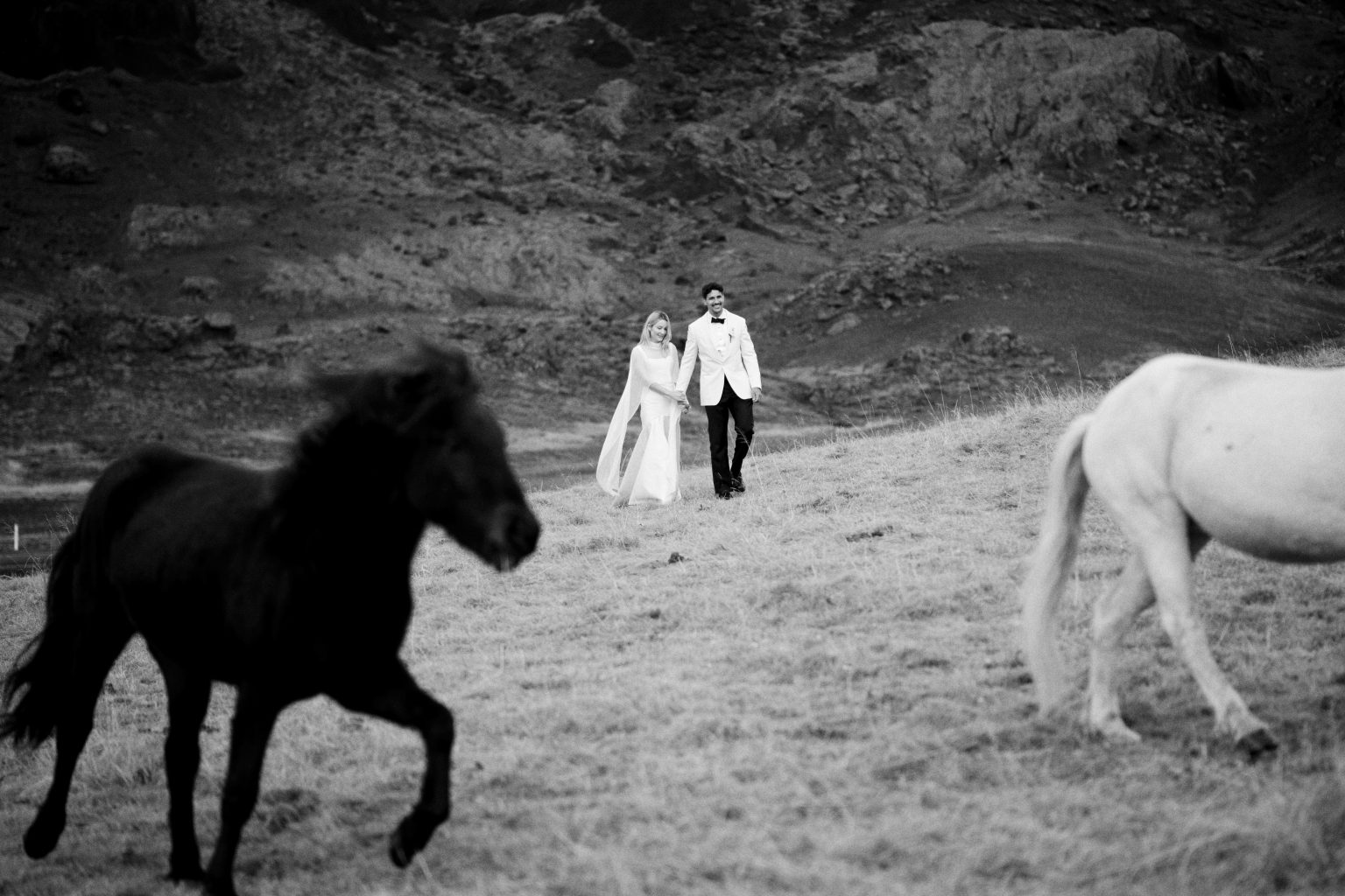 Icelandic horses running past the newlyweds at Indjánahöfði