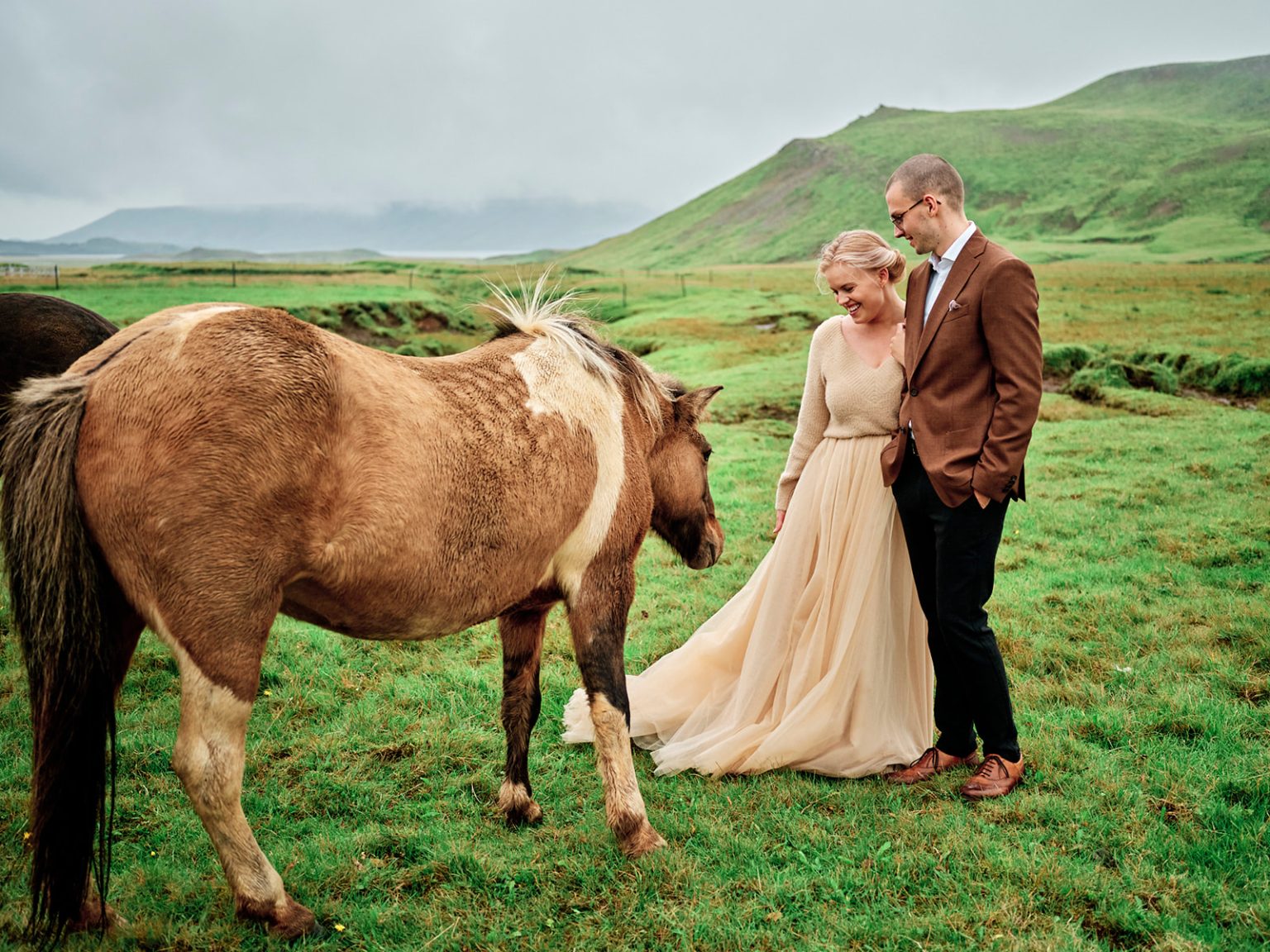 An embrace among the horses in a green field, Reykjanes, Iceland