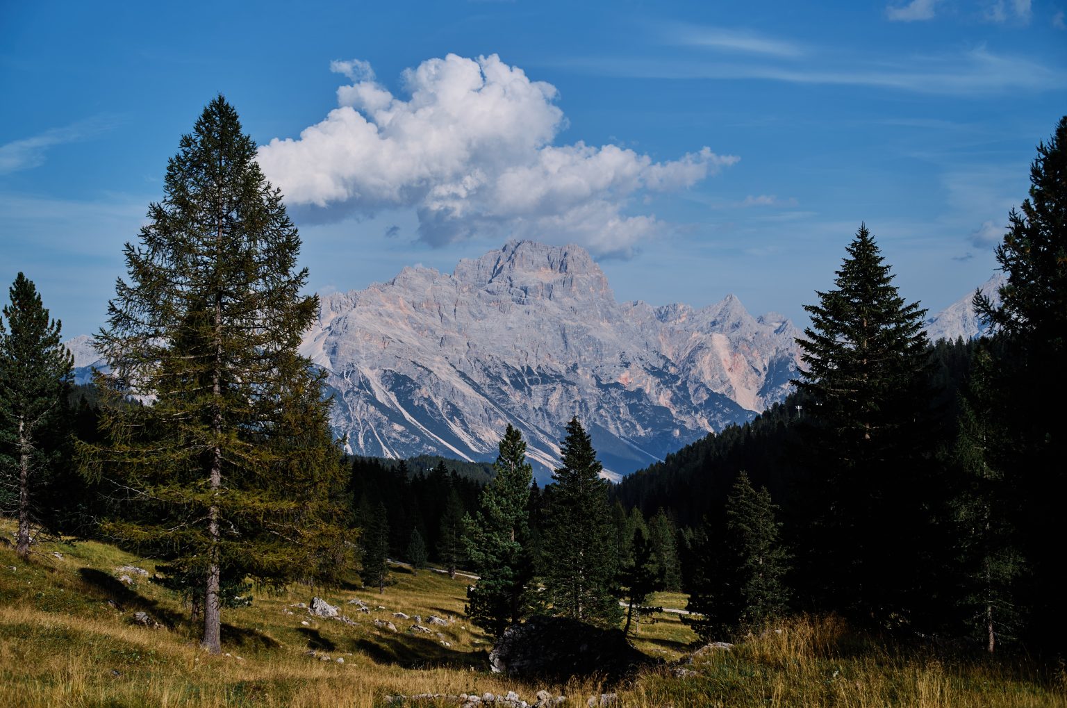 Green pastures below the snowy peaks, Dolomites wedding