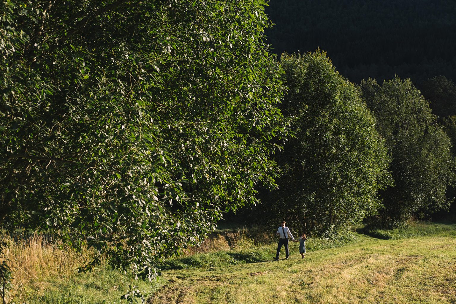 Dancing in the golden evening light at Juvet, Norway