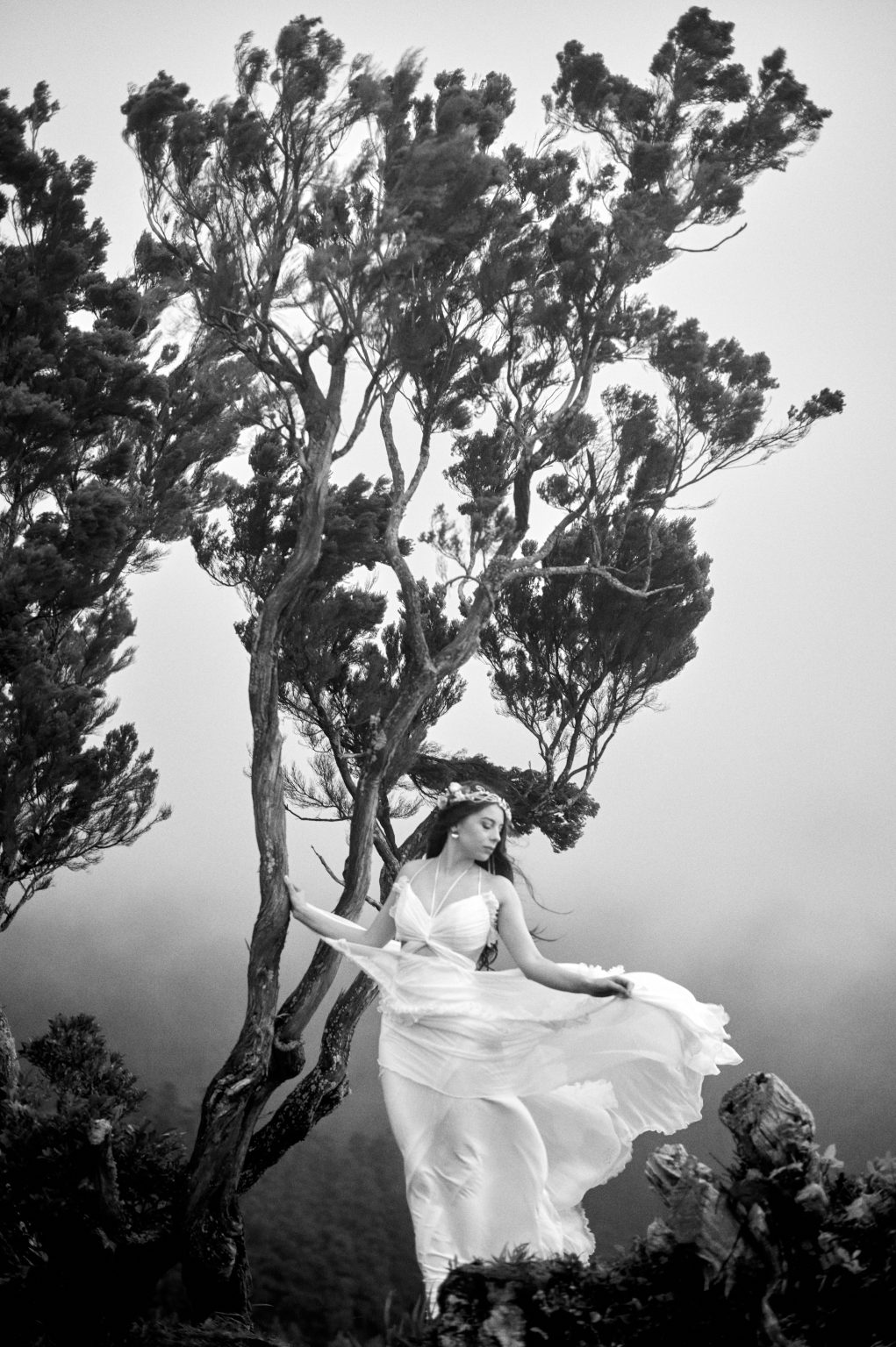 Bride beneath a windblown tree on a São Miguel ridge