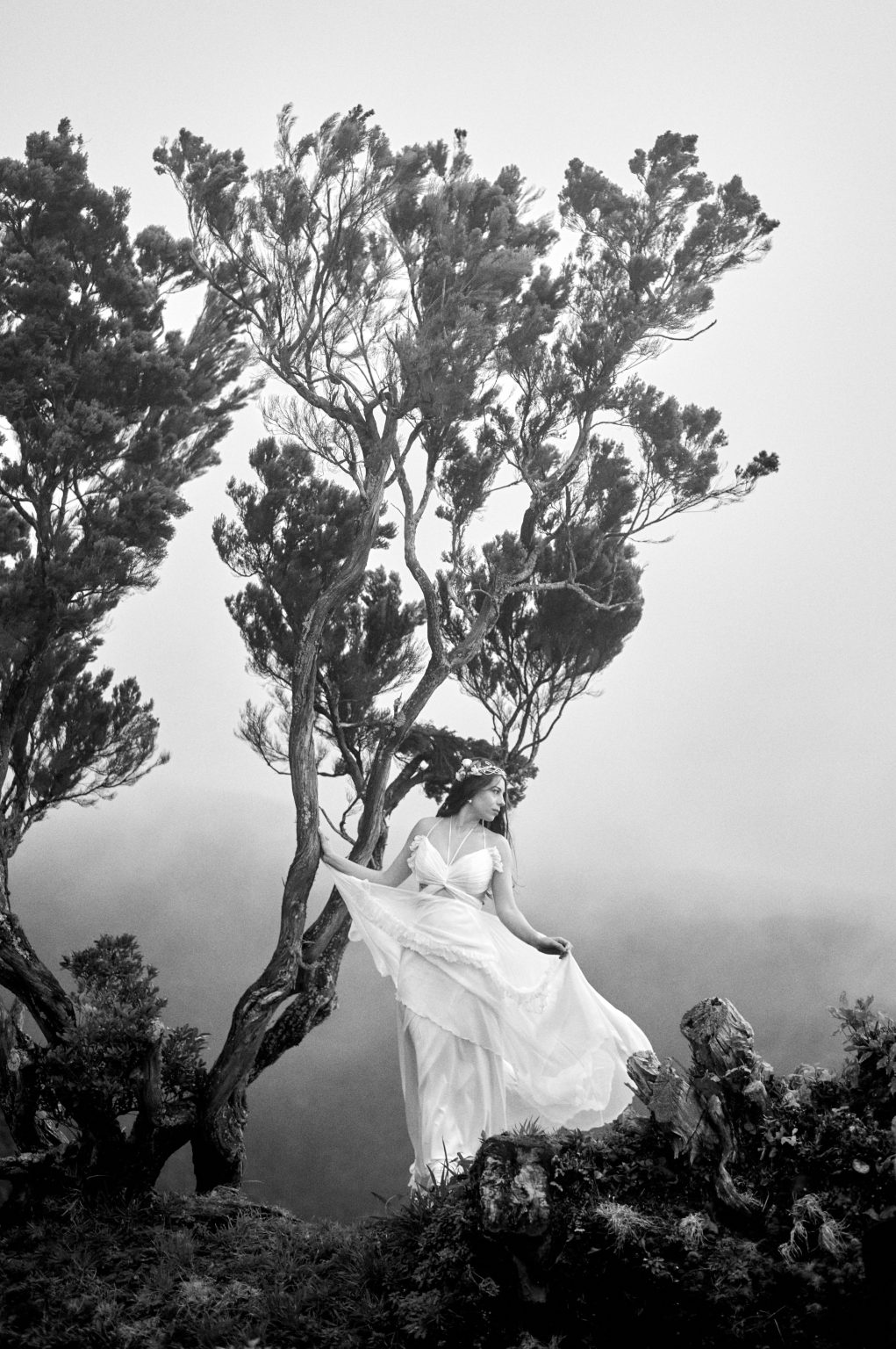 Bride under a wind-shaped tree in the São Miguel highlands