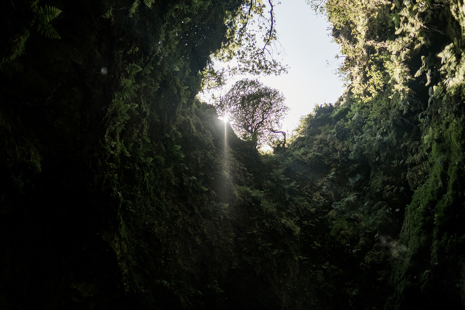 A couple inside Algar do Carvão, the volcanic cavern on Terceira