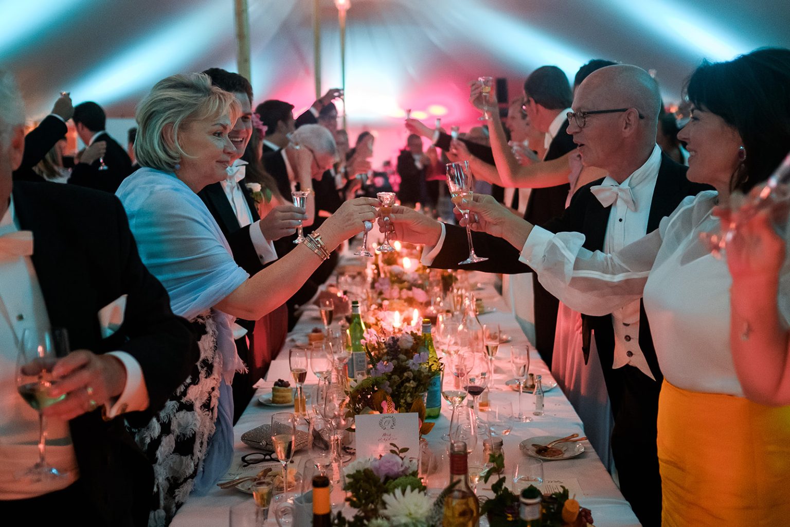 The wedding party under the lights