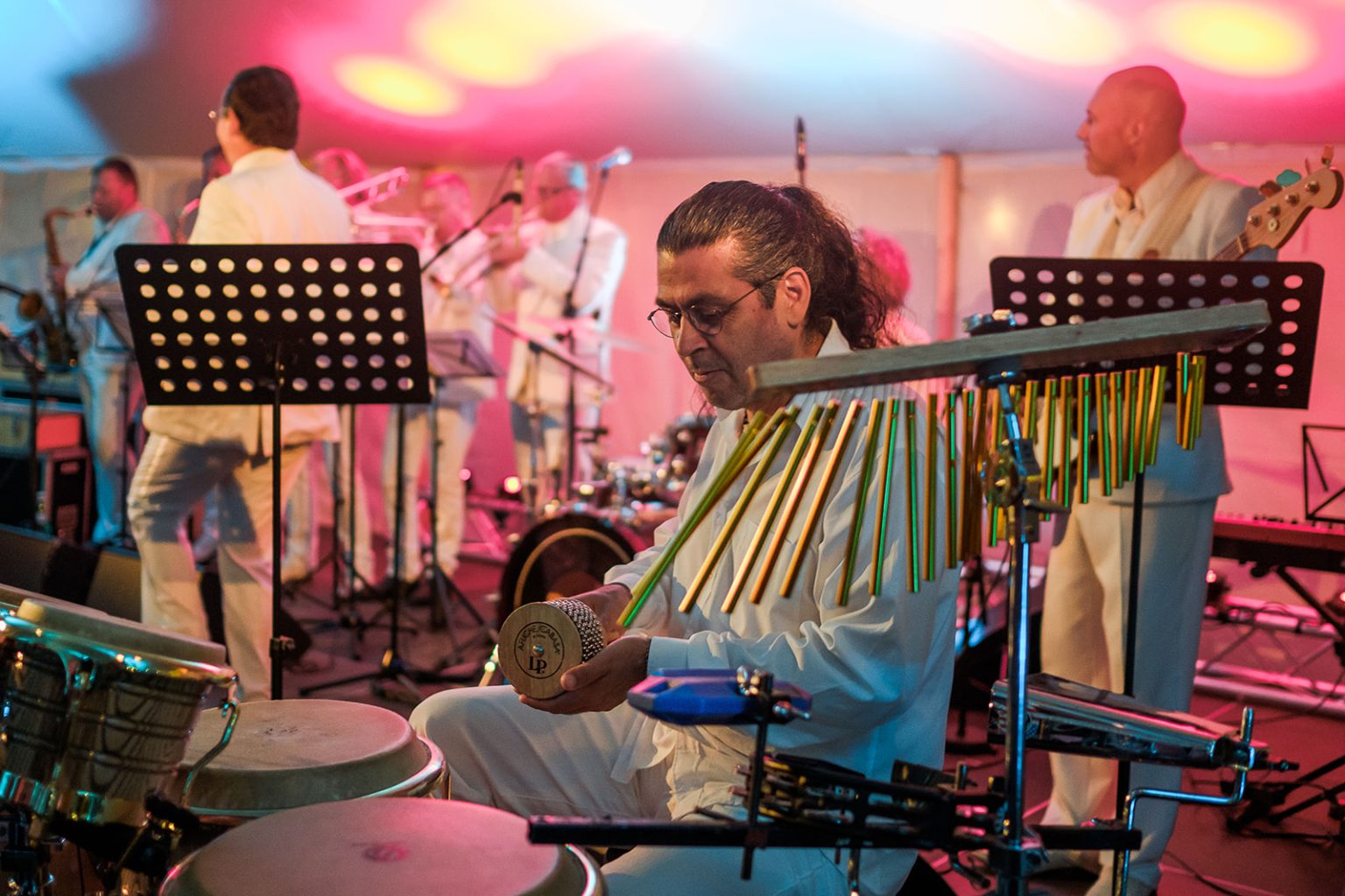 The band on stage at the wedding