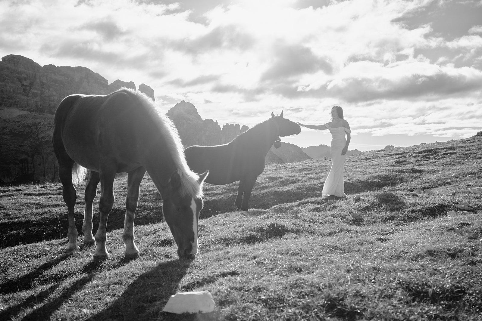 Wild horses at Tre Cime di Lavaredo, Dolomites wedding