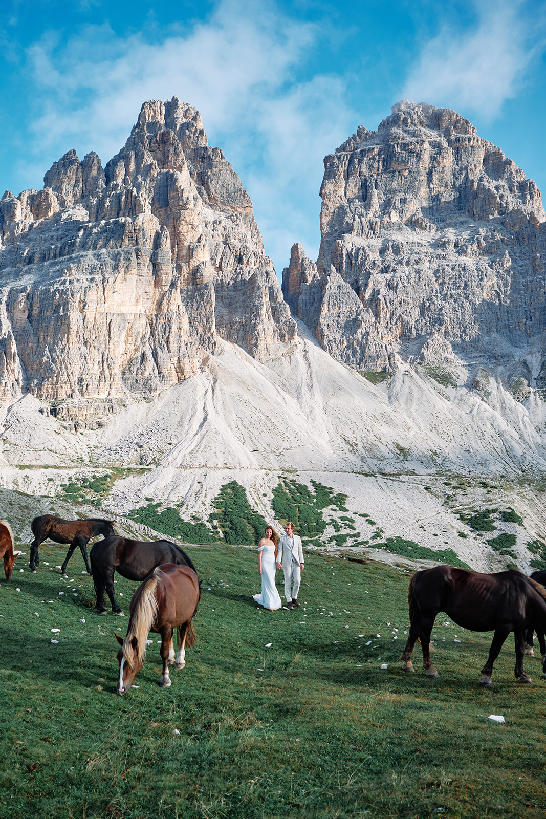 Horses crossing the meadow at a Tre Cime wedding
