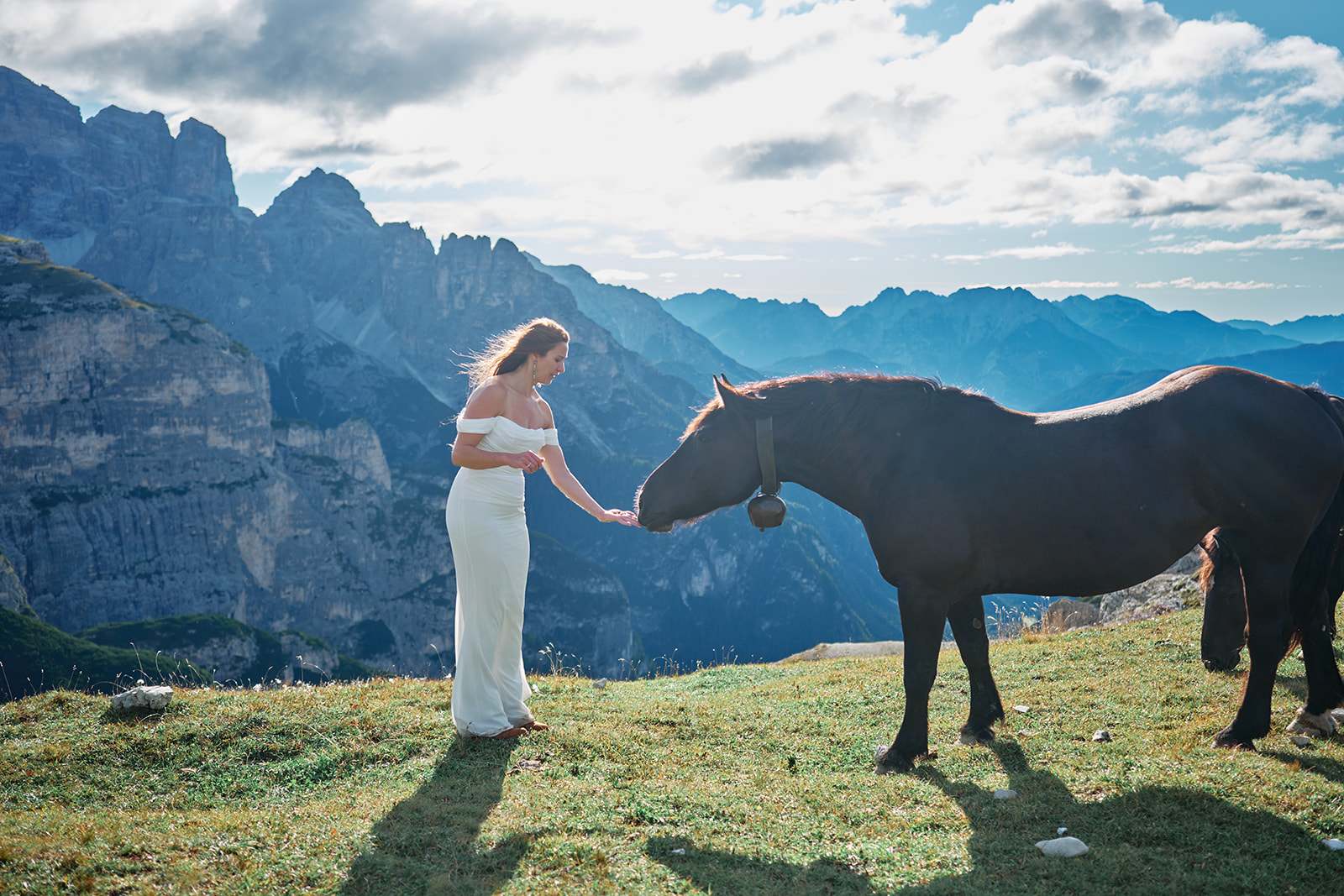 Horses crossing the meadow at a Tre Cime wedding