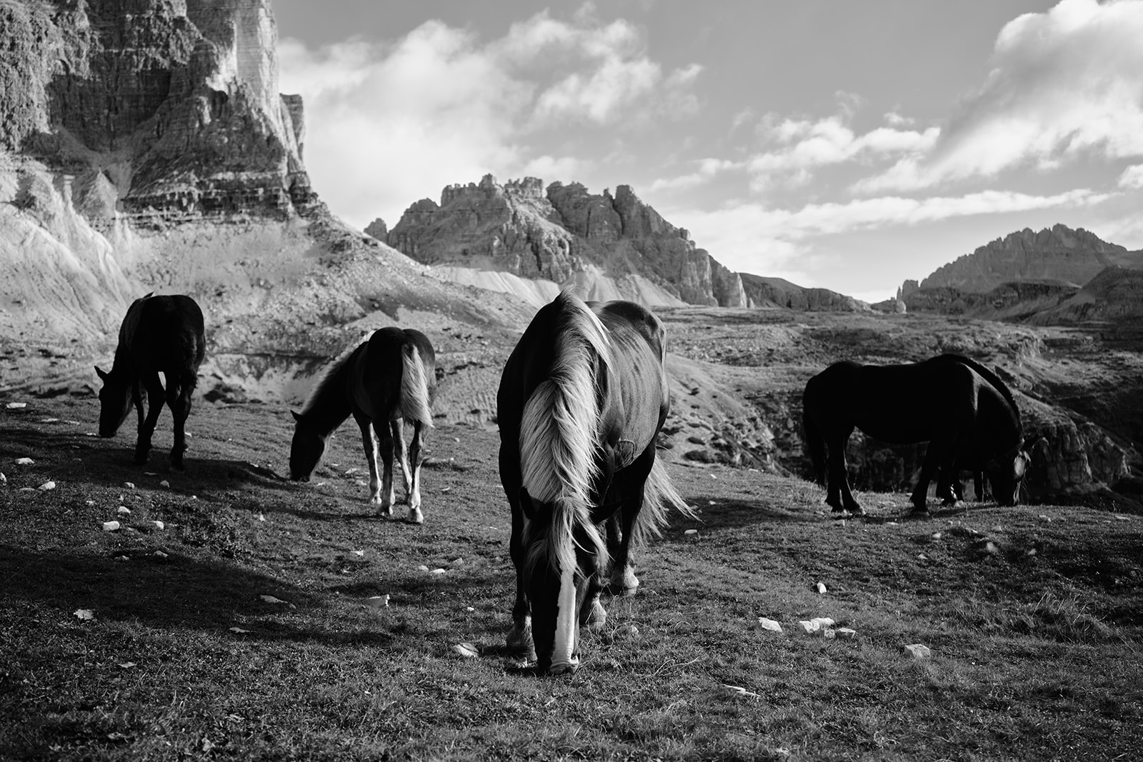 Couple and wild horses in the Dolomites