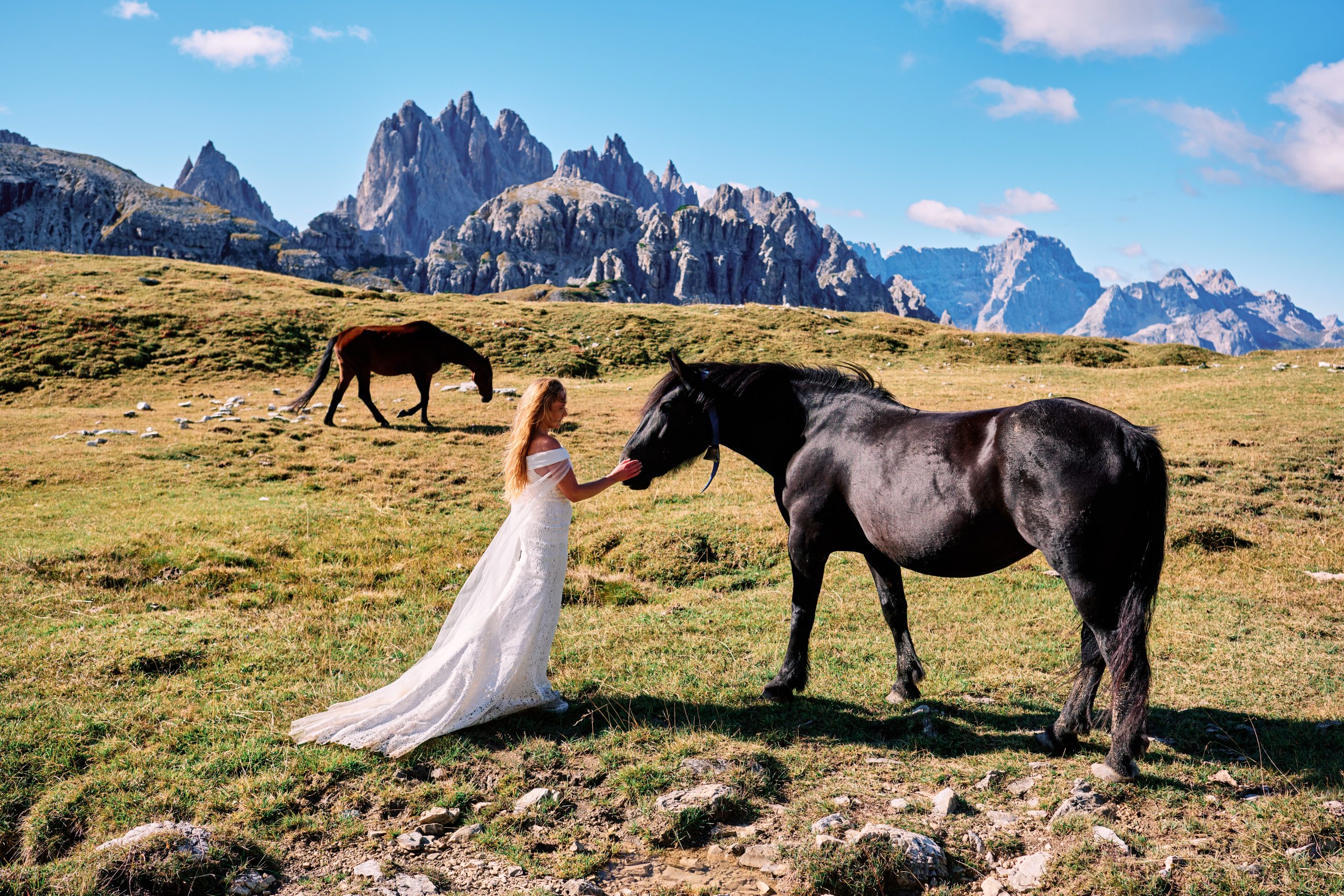 Bride meets a wild horse, Cadini di Misurina behind, Dolomites