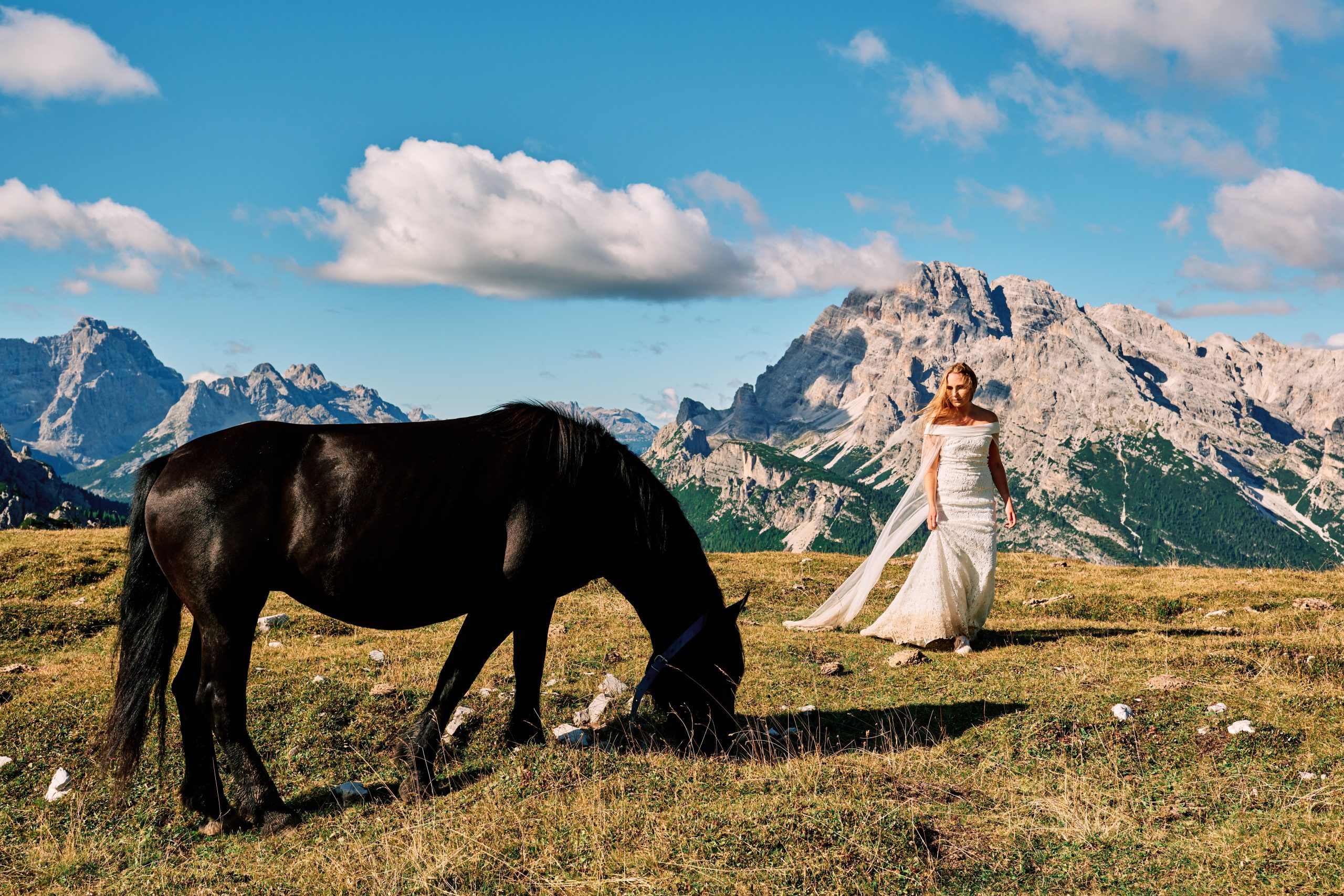 Wild horse grazing beside the bride, Dolomites