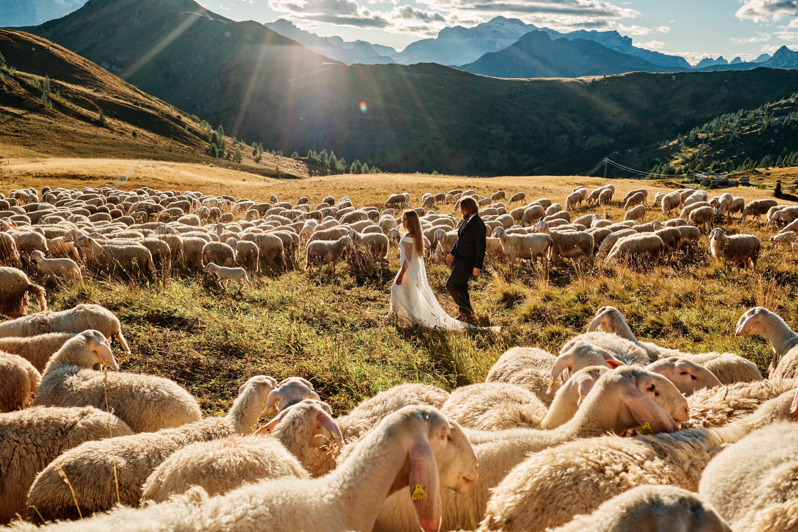 Sheep crossing at Passo Giau — Peter & Moa among the flock