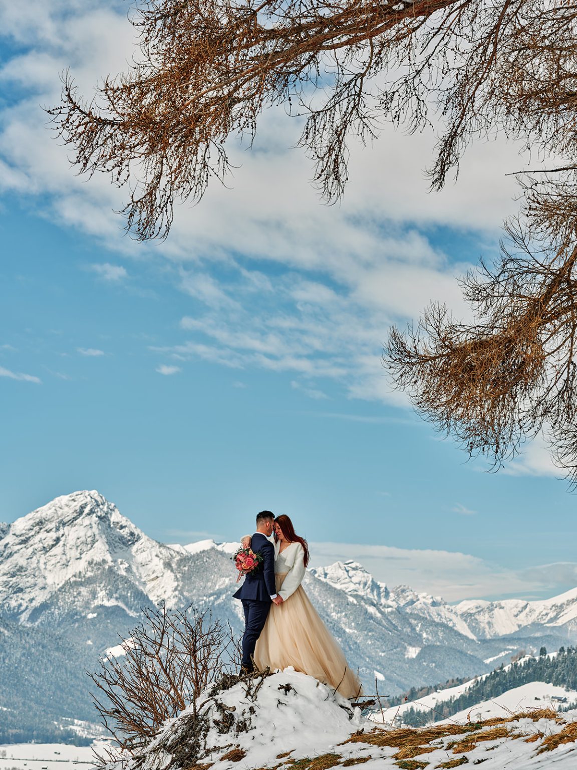A bare larch and the couple below the snowy towers, Passo Giau