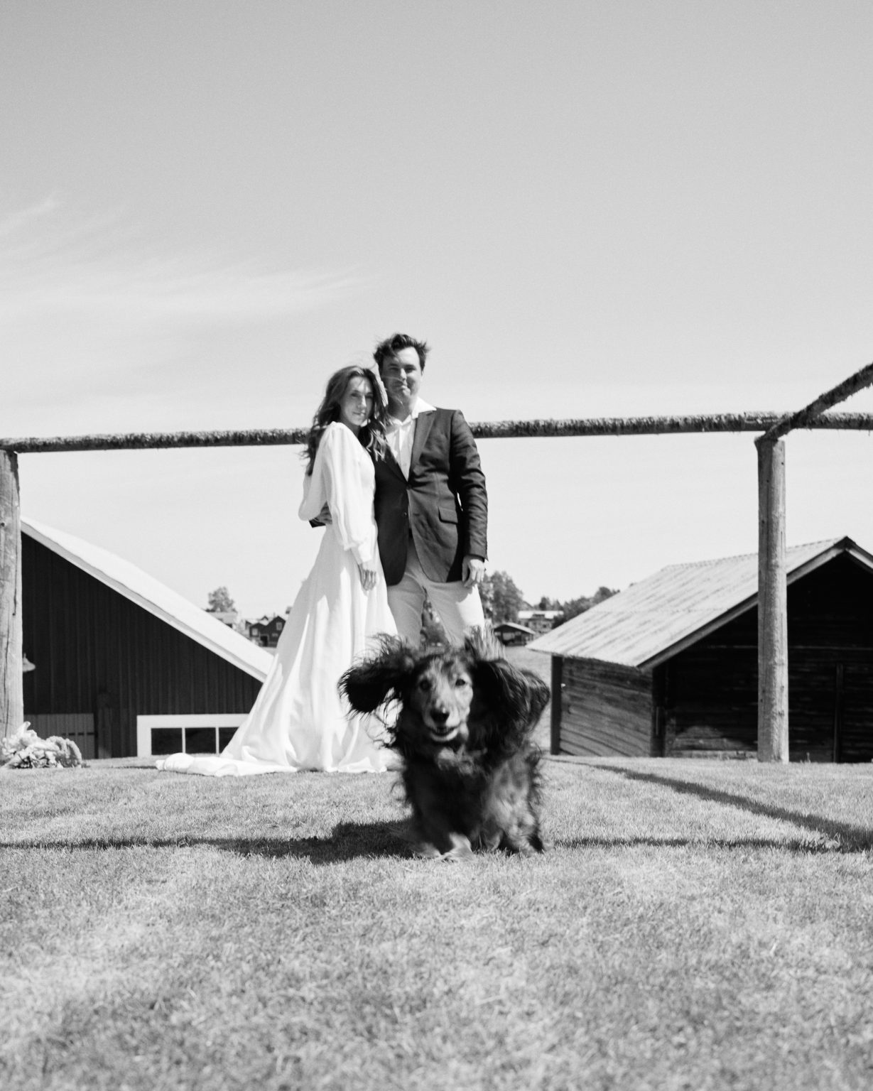 Bride and groom with their spaniel in front of red Swedish barns
