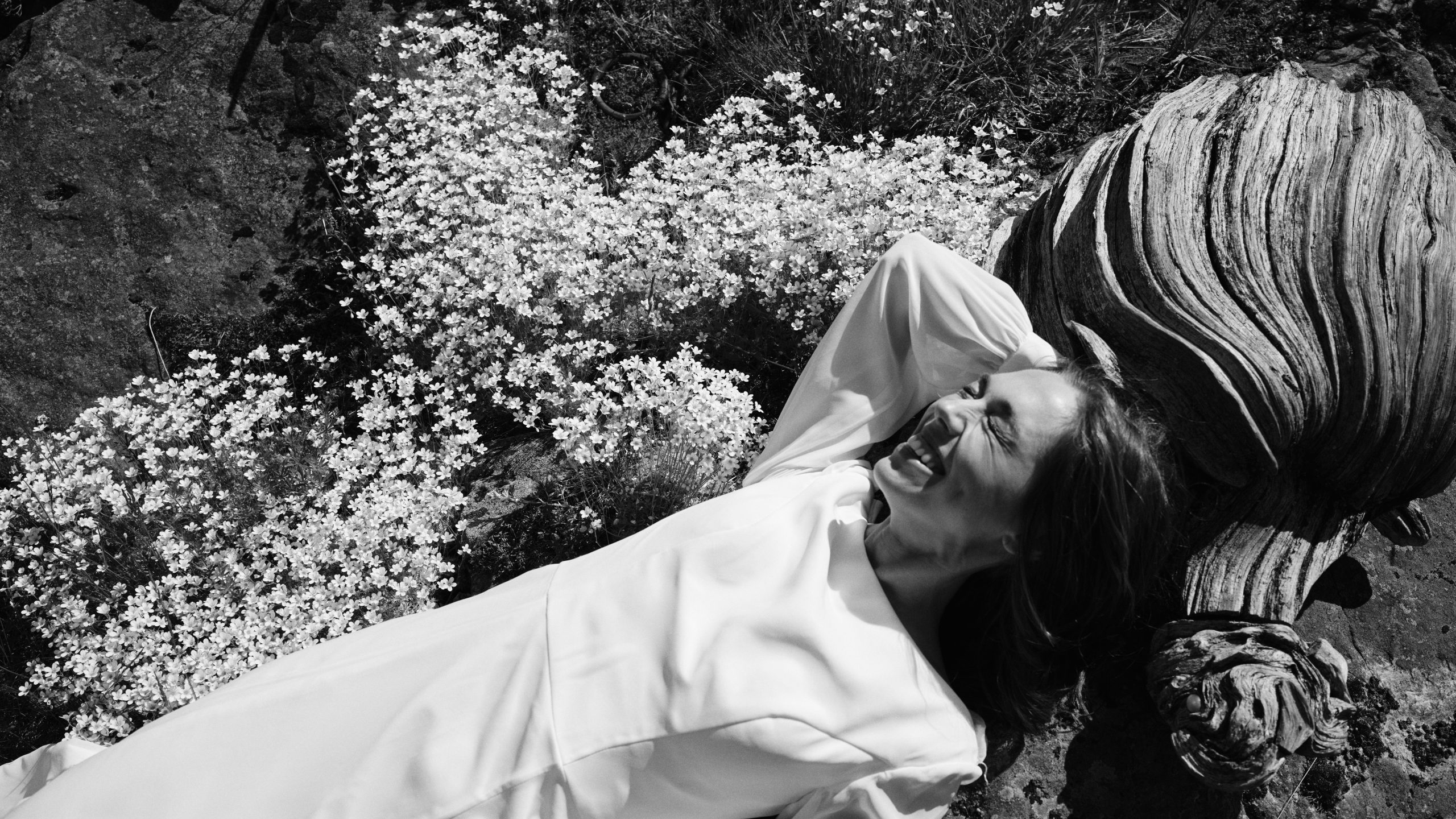 Elin and Joakim lying together in summer meadow flowers near Skärså