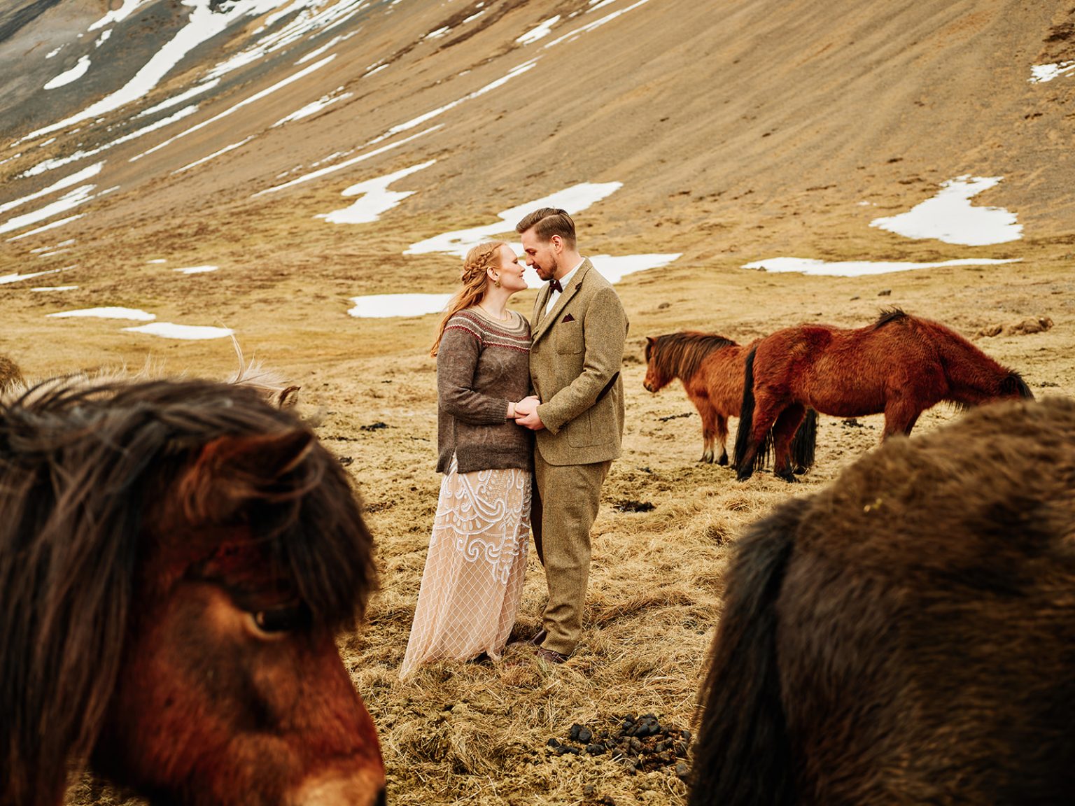 An embrace among the Icelandic horses, a Hótel Búðir elopement