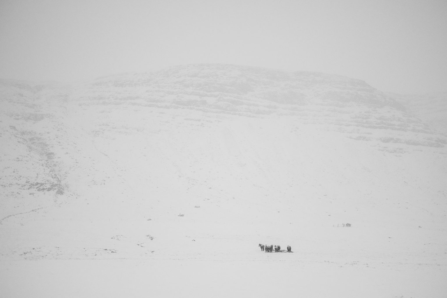 A fence line running across the snow in Hvalfjörður