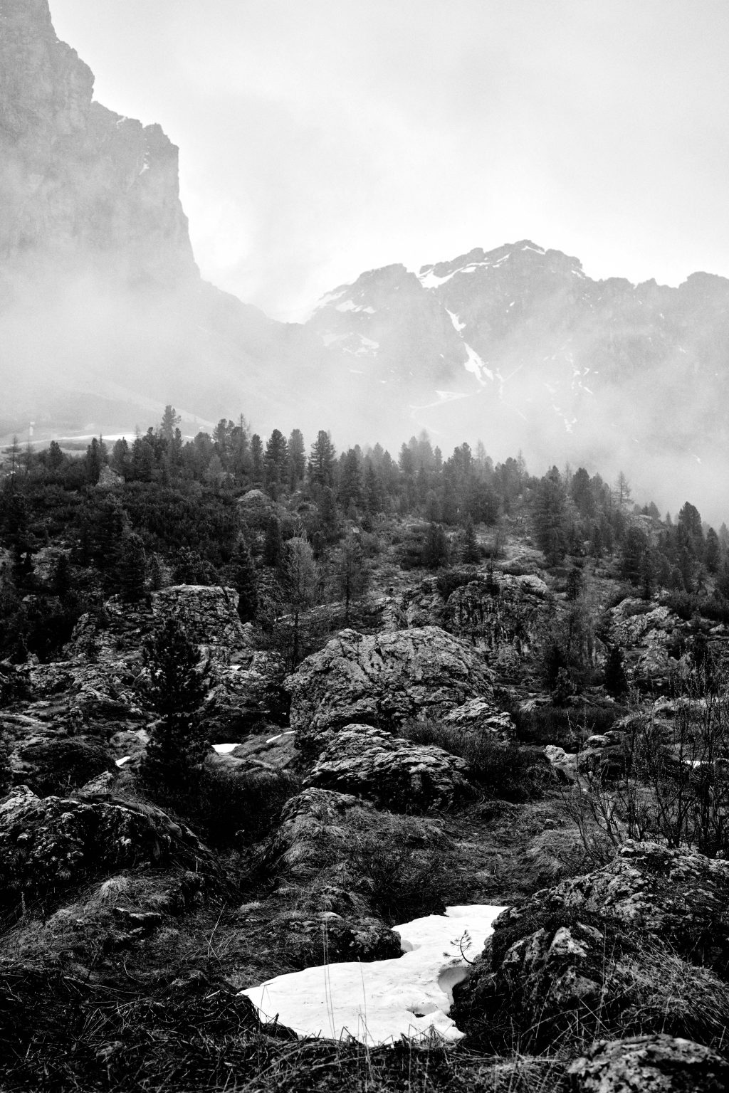 Rain over the forest at Passo Gardena, black and white