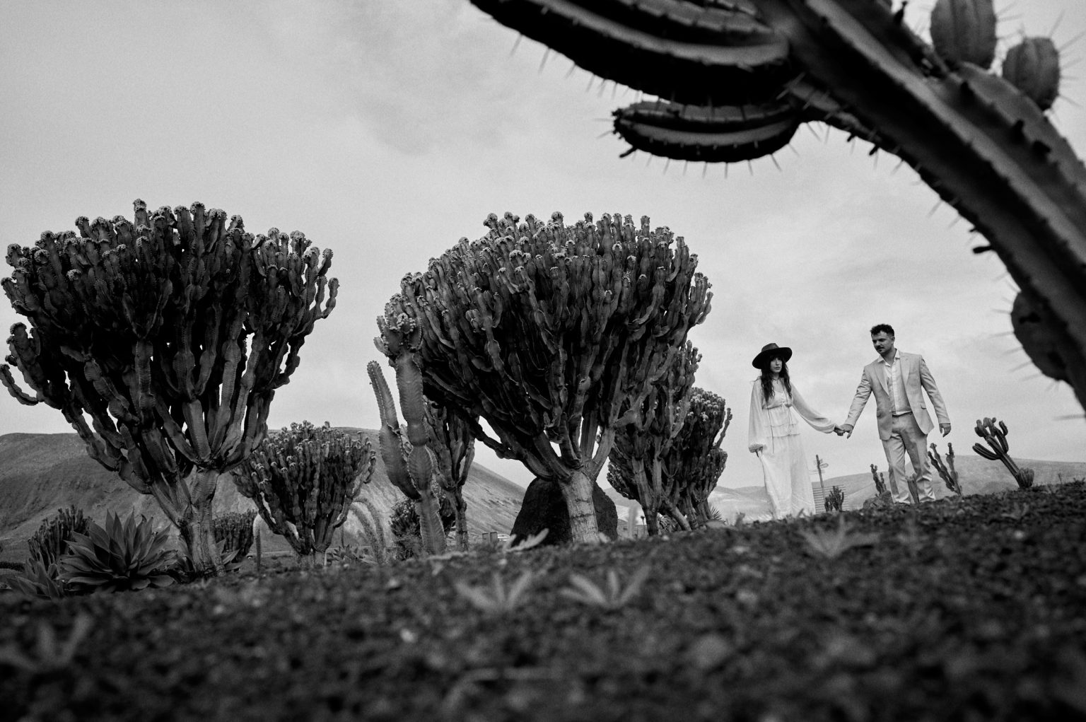 Rows of cactus with the couple beyond, Lanzarote