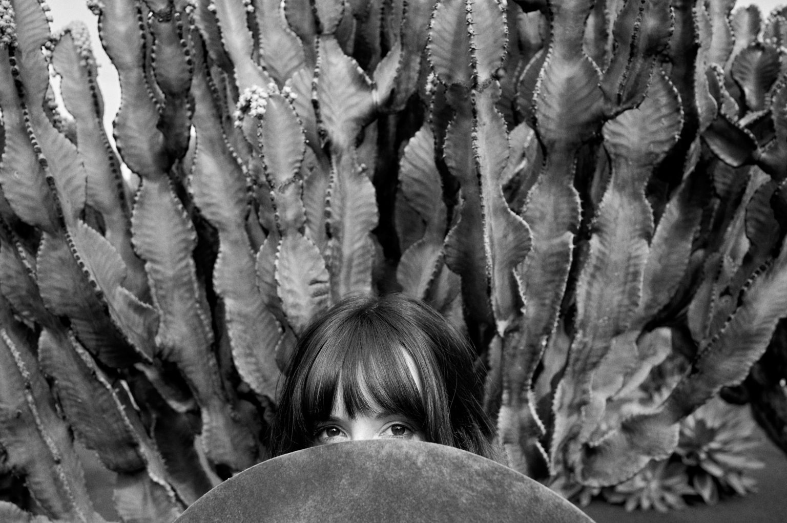 Cactus detail with the couple, black and white, Lanzarote