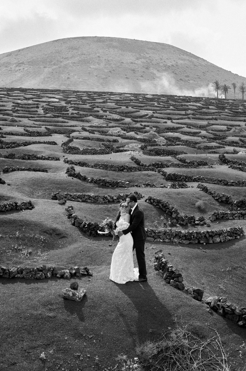 The curved vine walls of La Geria, Lanzarote
