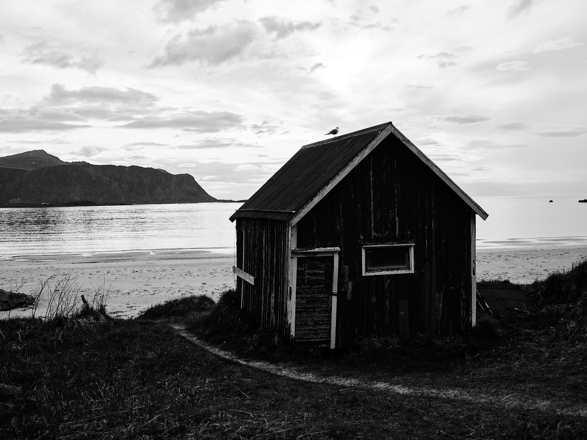 A couple among the red cabins of Lofoten under sharp peaks