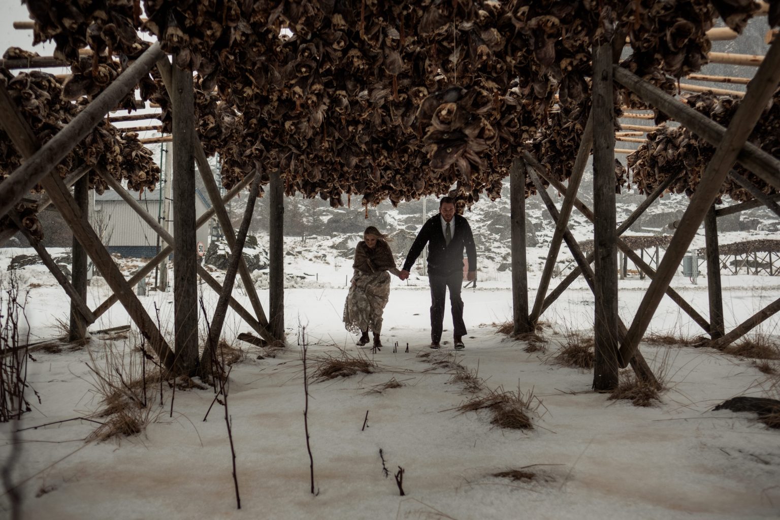 Stockfish drying racks in the snow, a Lofoten winter elopement