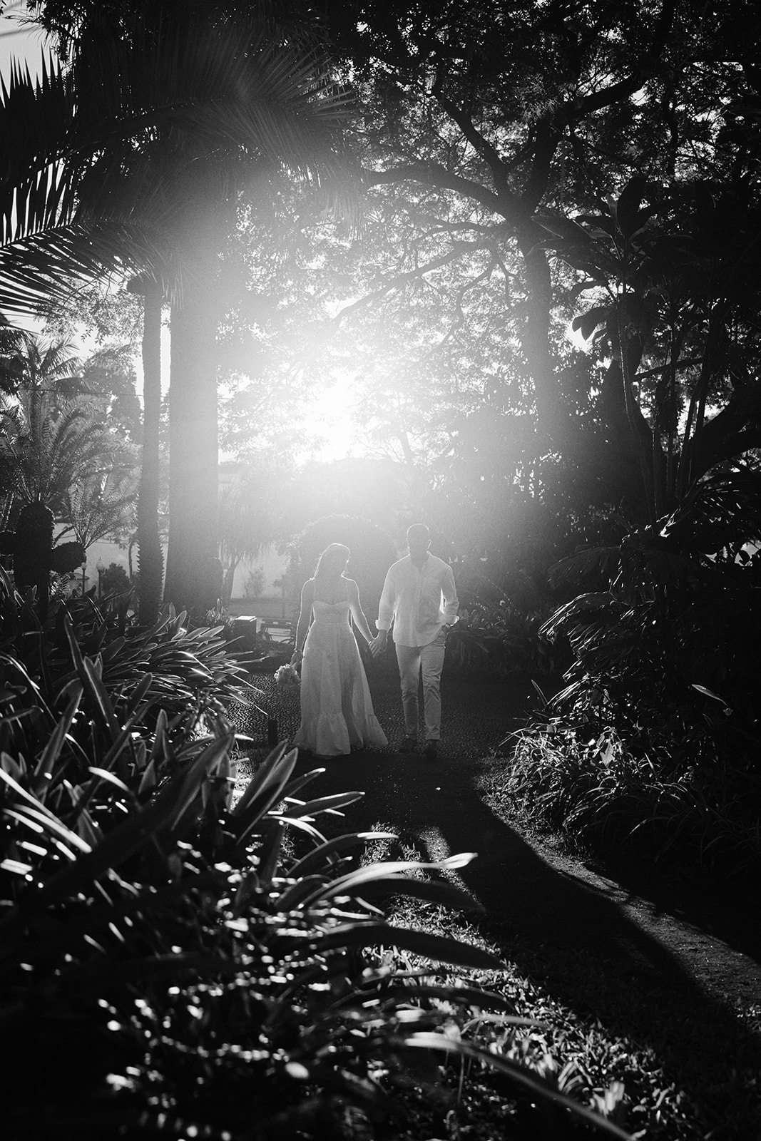 Sunlight through the trees at Parque Florestal das Queimadas, Madeira